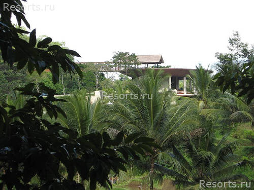 Four Seasons Resort Bali at Sayan 13